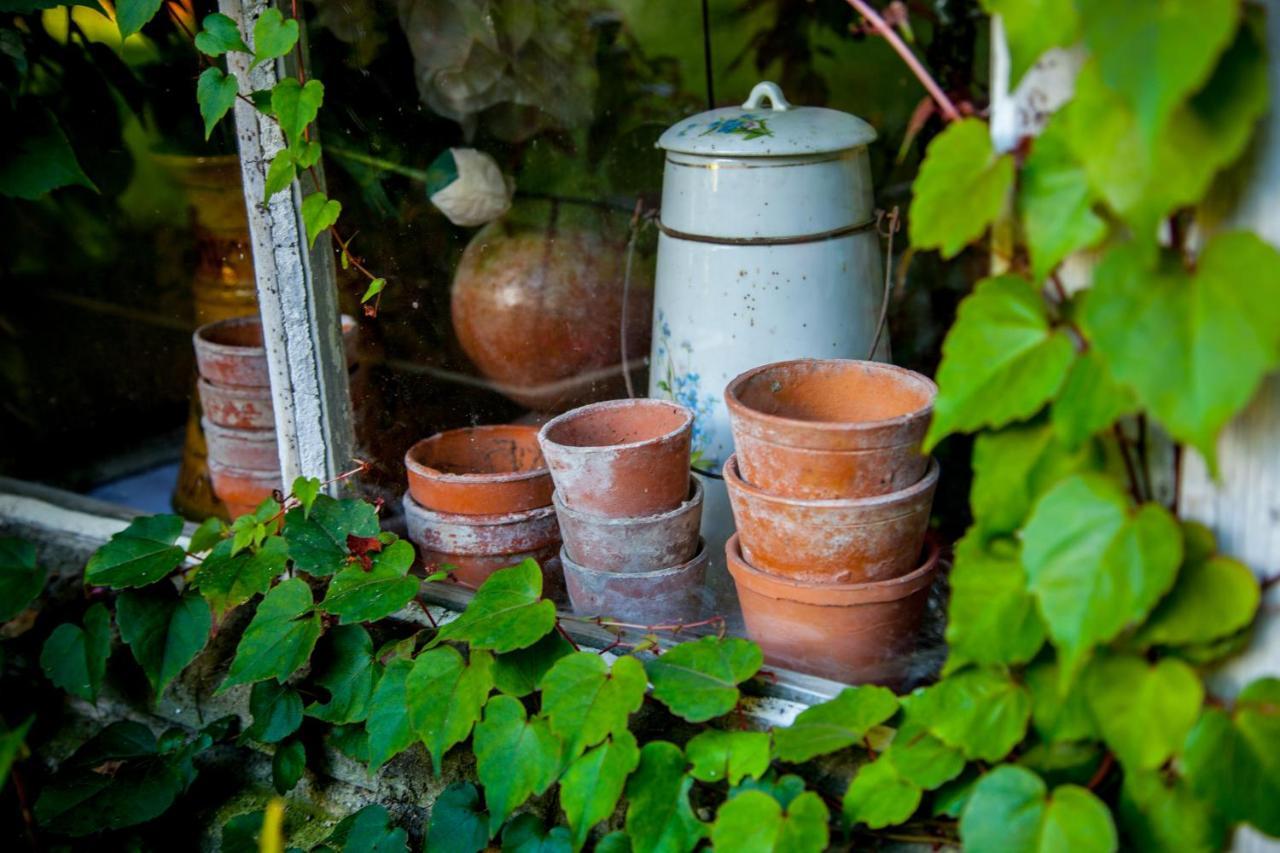 Jardin Et Hotel Particulier Bayeux Ngoại thất bức ảnh